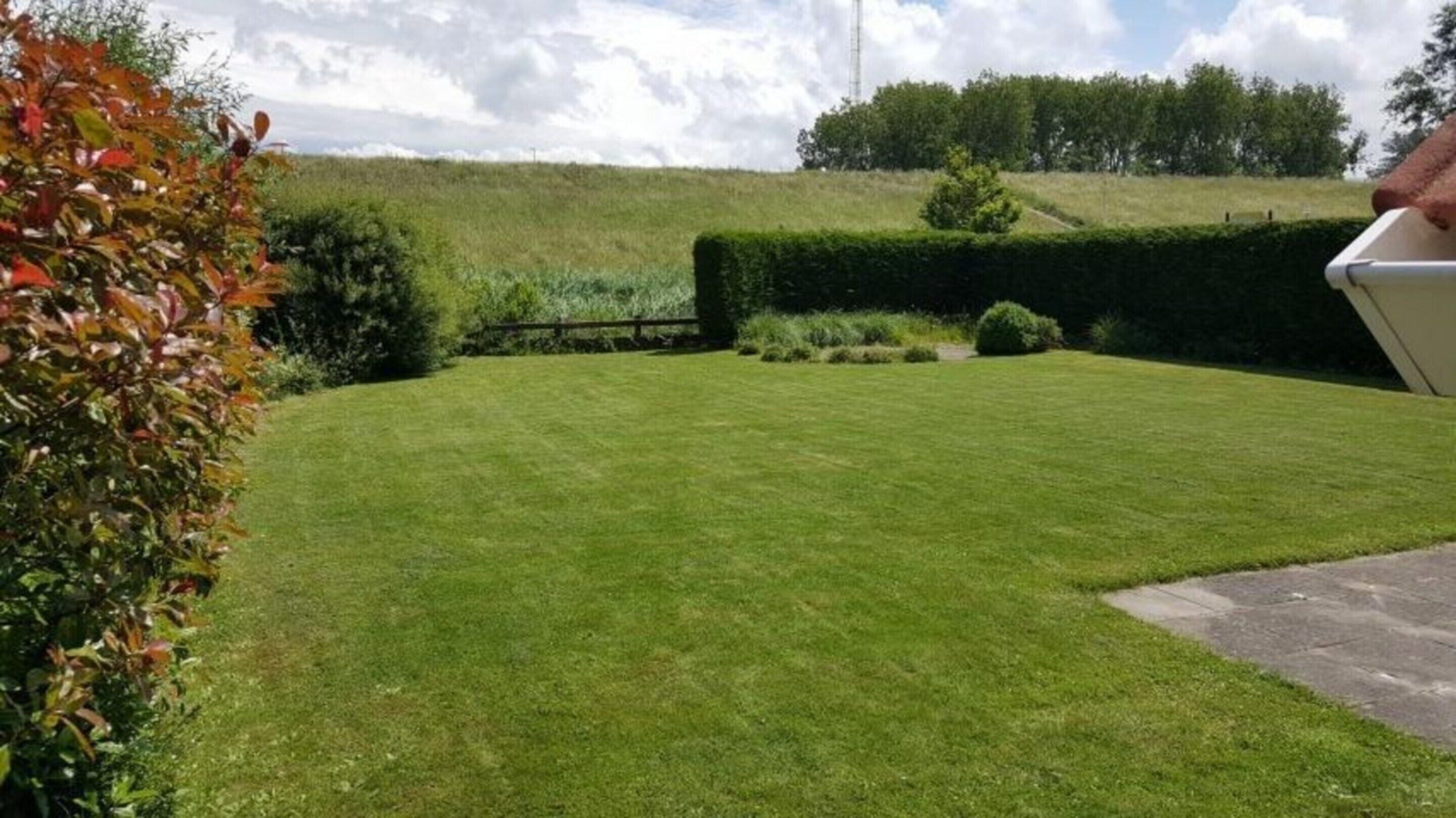 A well-maintained lawn with a hedge, a wooden fence, and a clear sky.