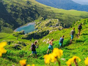 Chalet | View from property - Lovely Chalet in Turracherhohe With Sauna (Stadl-Predlitz)