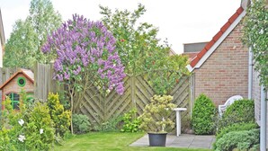 Um jardim bem cuidado com diversas plantas e cerca de madeira.