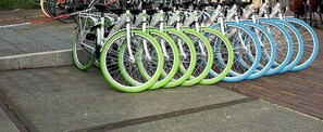 Een rij fietsen met groene en blauwe banden, geparkeerd op een verhard oppervlak.