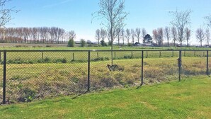 Ett inhägnat utomhusområde med gräs, träd och en byggnad i bakgrunden.