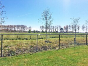 Ferienhaus | Blick von der Unterkunft