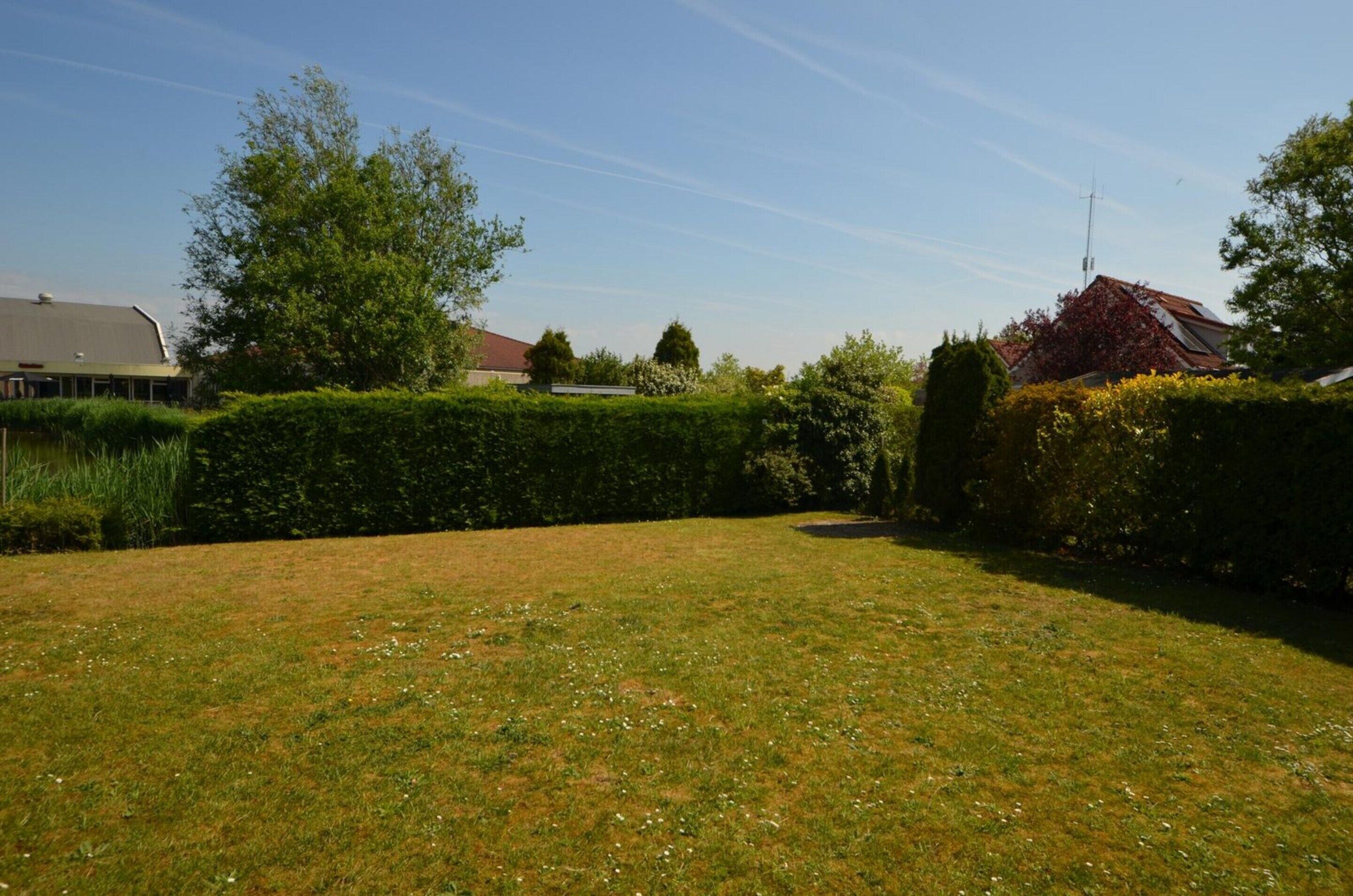 A grassy backyard with a hedge, a tree, and a building with a red roof.