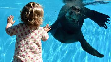 Maison | Vue depuis l’hébergement