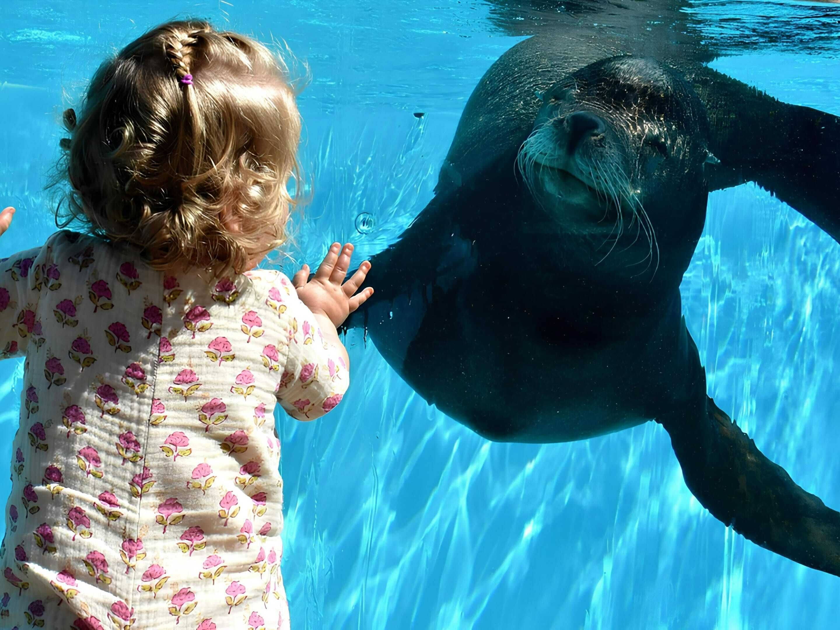 House | View from property