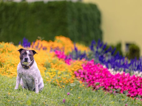 Apartment | Interior detail