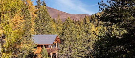 Apartment | Exterior