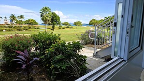 Vista desde una ventana sobre un jardín cuidado con diversas plantas y un cielo azul despejado.