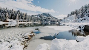 Apartment | View from property - Apartment in Pine Forest Near Ski Slopes (Stadl-Predlitz)