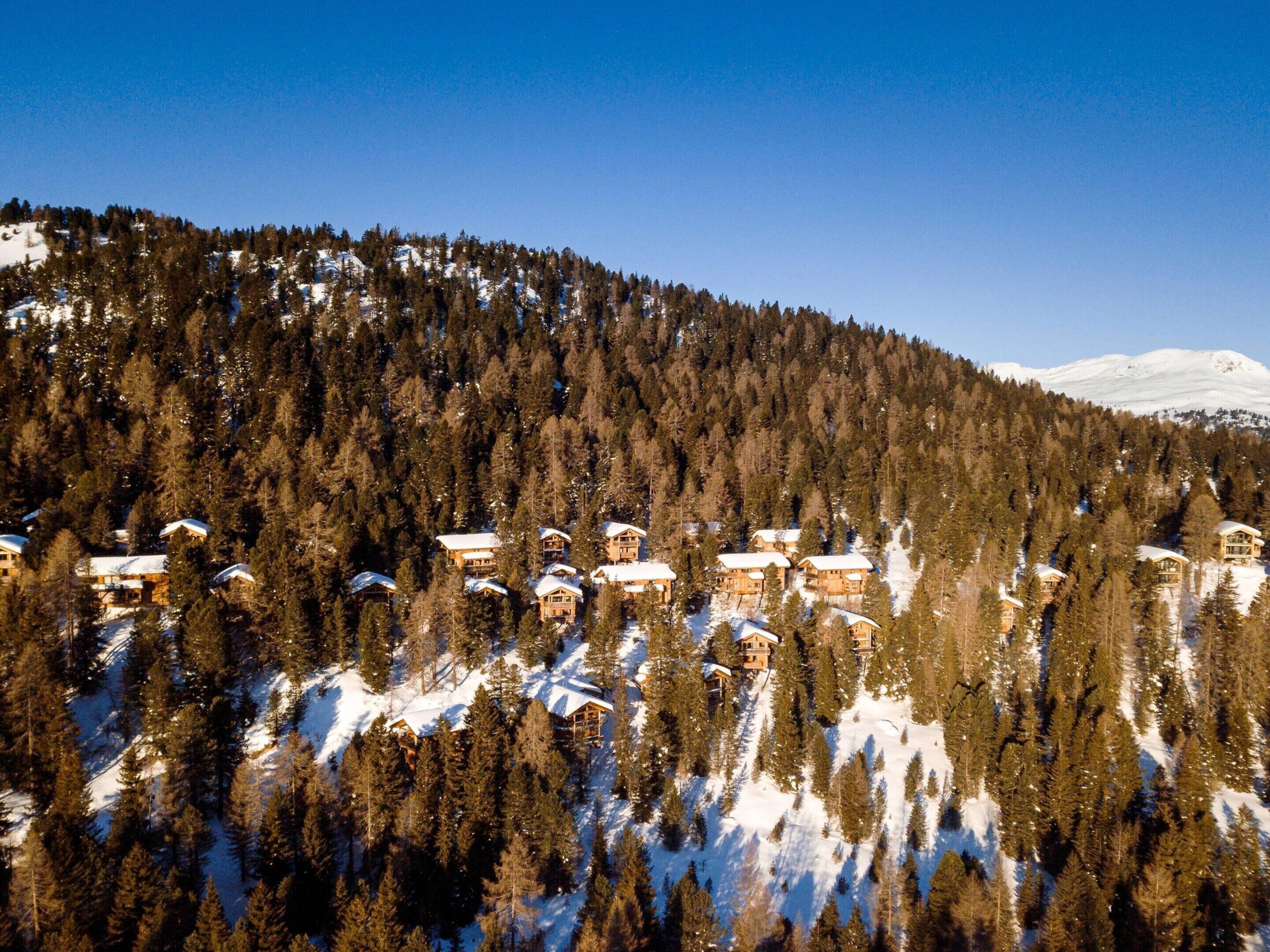 A resort with multiple wooden cabins surrounded by dense forest and snow-covered slopes.