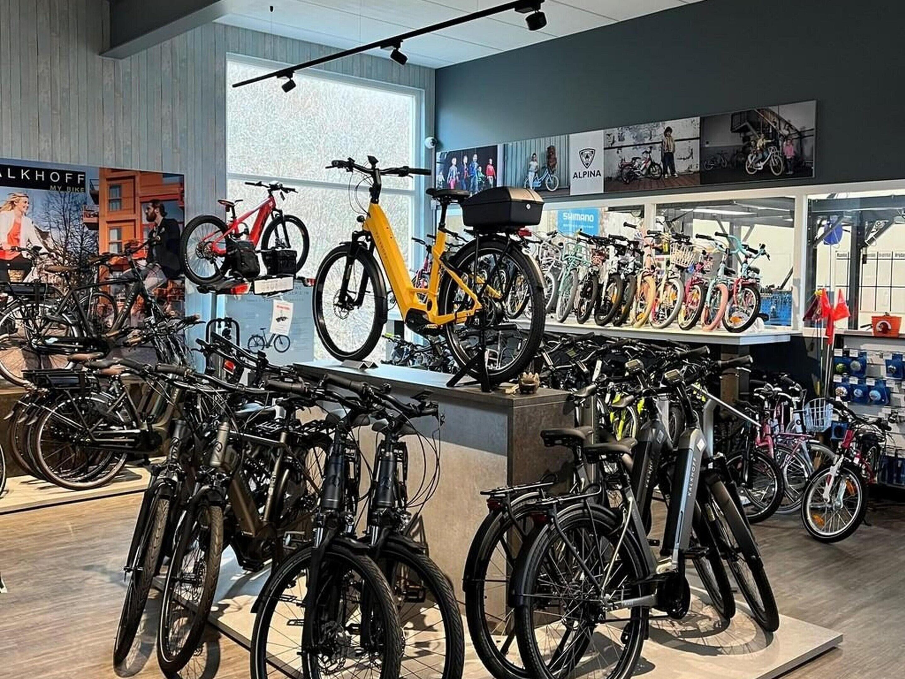 A bicycle shop with various bikes on display, a large window, and posters on the wall.