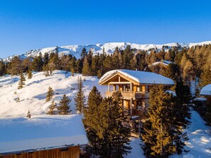 Chalet | View from property - Cosy Chalet With Infrared Sauna (Stadl-Predlitz)