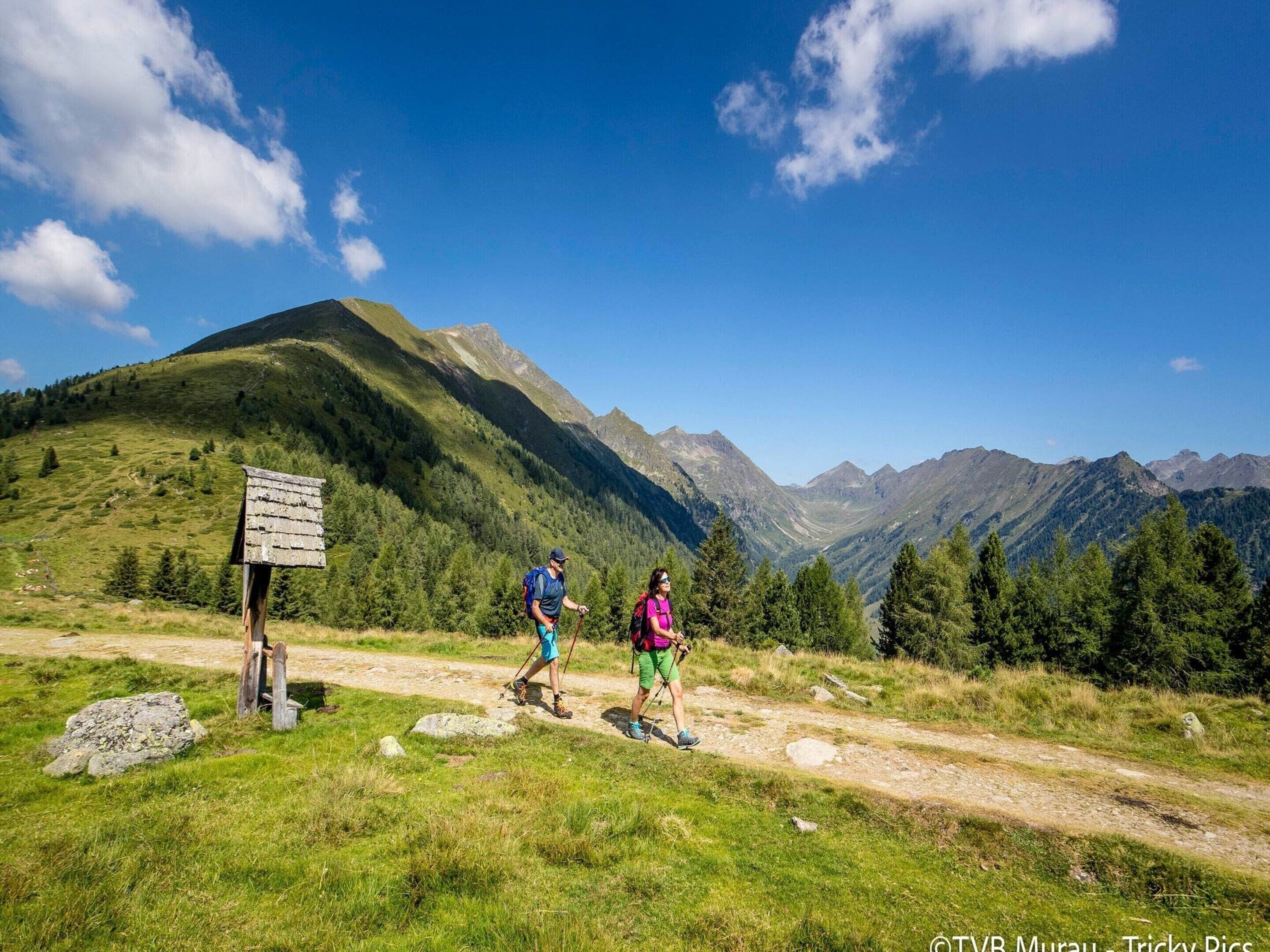 A mountain hiking trail with a wooden signpost, surrounded by lush greenery and distant mountains.
