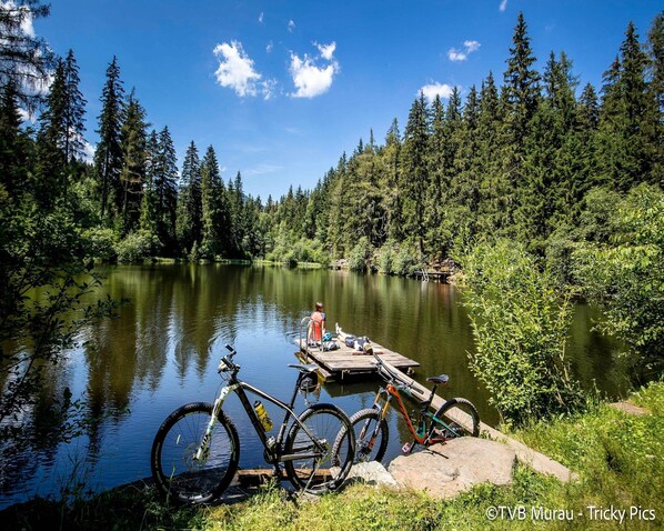 A serene lake surrounded by dense forest, with a dock extending into the water. - Nice Chalet Near Ski-lift (Sankt Georgen am Kreischberg)