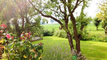 House | Garden