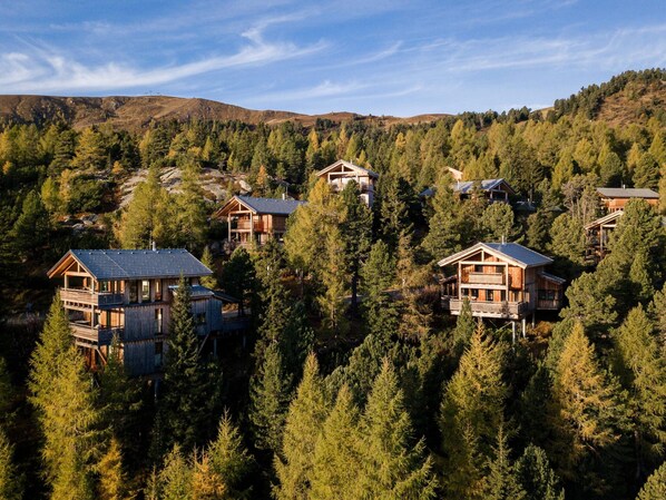 Chalet | Exterior - Premium Chalet With Infrared Sauna (Stadl-Predlitz)