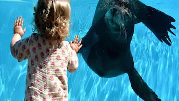 Huis | Uitzicht vanuit accommodatie