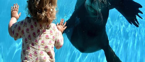 House | View from property