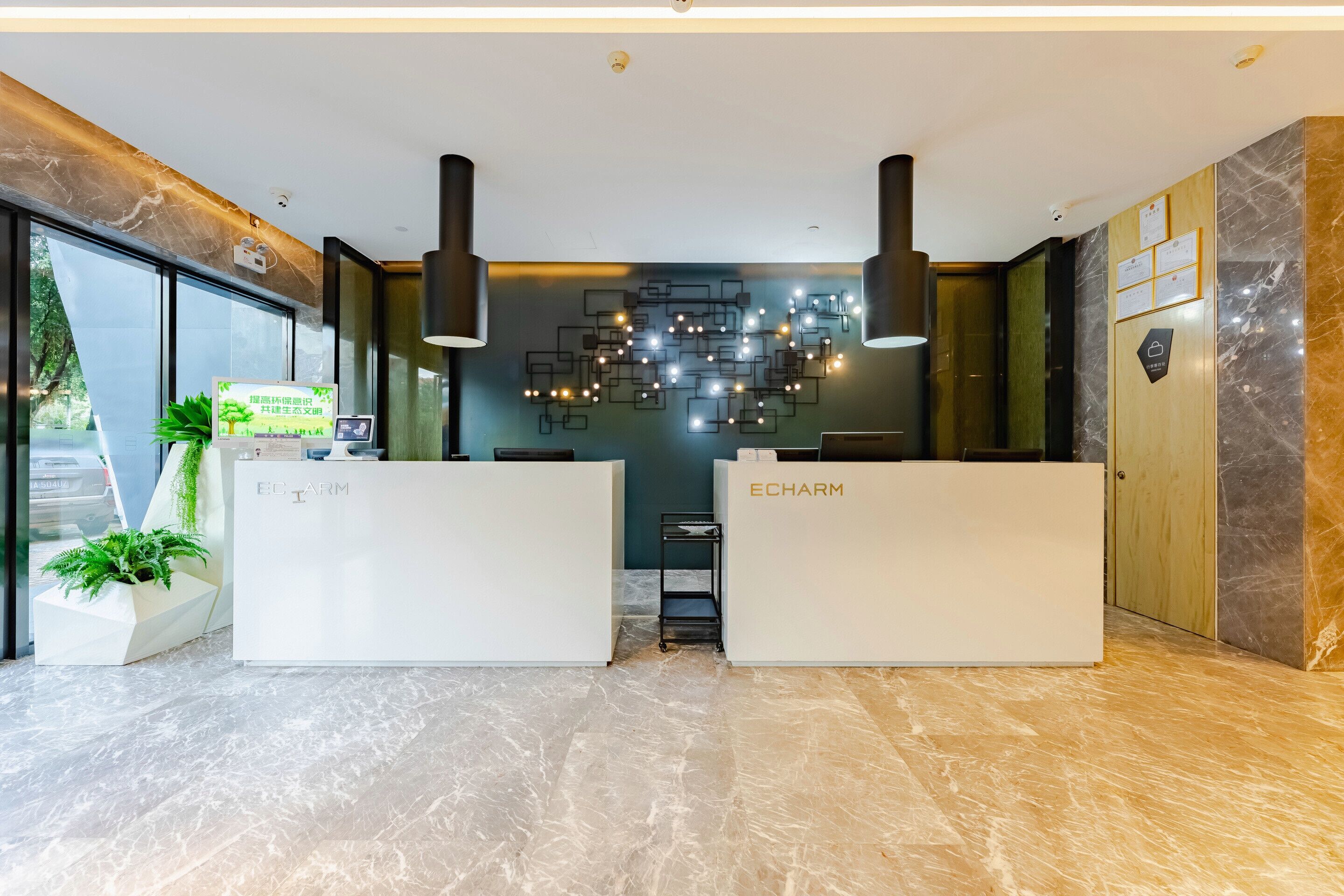 منطقة الاستقبال