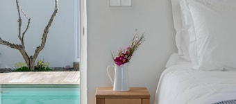 Sanderling beach & dune house
