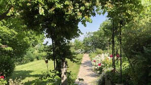 Une terrasse en bois avec un chemin en briques qui traverse un jardin où poussent différentes plantes et fleurs.