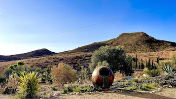 Apartment | Property grounds