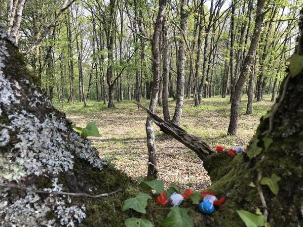 Property grounds - Gîte des Cyprès - Bérat - Gîte (Bérat)