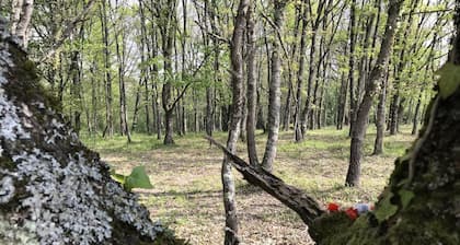 Gîte des Cyprès - Bérat - Gîte
