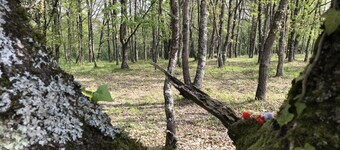 Gîte des Cyprès - Bérat - Gîte