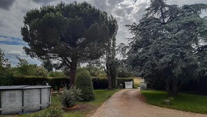 Un camino de grava que conduce a una entrada con puerta, rodeada de árboles y un pequeño cobertizo.