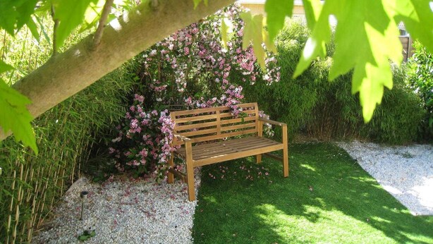 A wooden bench under a tree with pink flowers, surrounded by green grass and a gravel path.