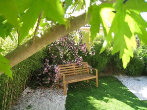 A wooden bench under a tree with pink flowers, surrounded by green grass and a gravel path.