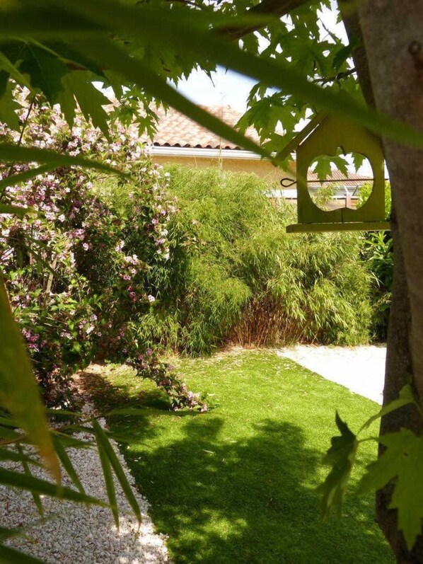 A garden with a variety of plants and a pathway leading to a building.