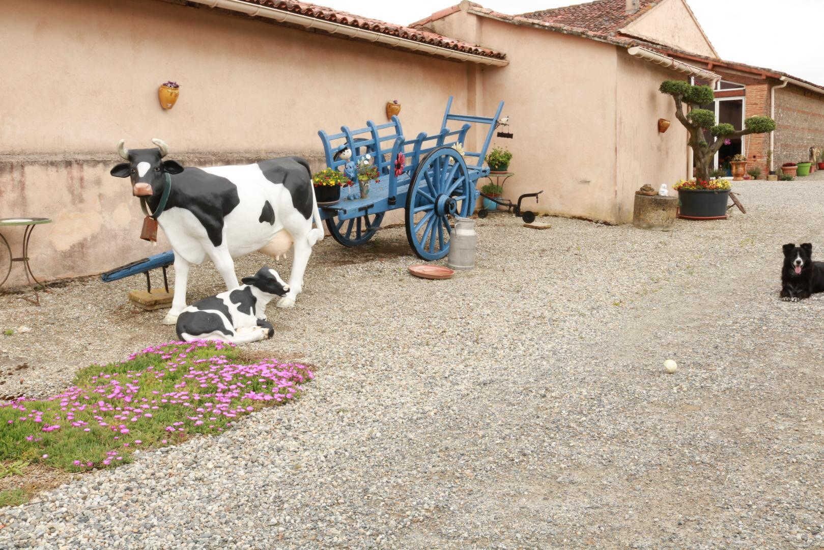 A cow and calf in a courtyard with a blue cart and potted plants.