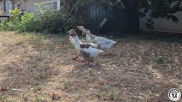 住宿场地