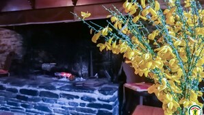 A fireplace with a stone surround, a wooden mantel, and a vase of yellow flowers. - Chez Marthe - Melles (Melles)