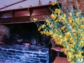 Fireplace - Chez Marthe - Melles (Melles)