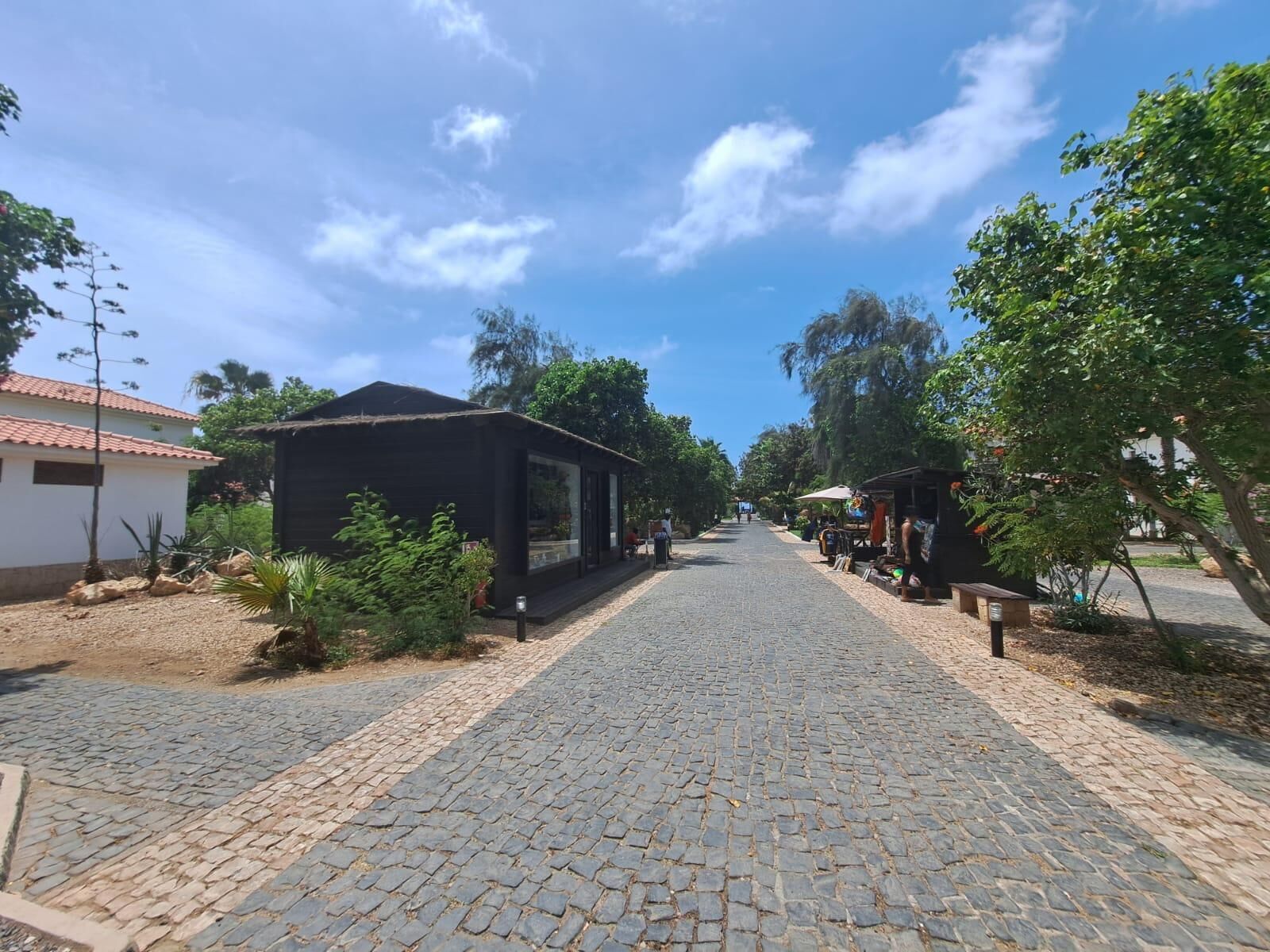 A cobblestone street lined with buildings and trees, leading to a small black structure with glass windows.