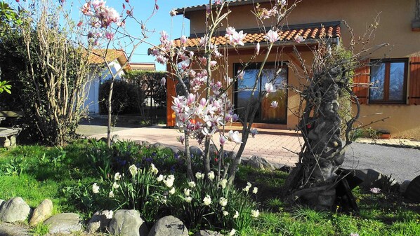 Detalle del exterior