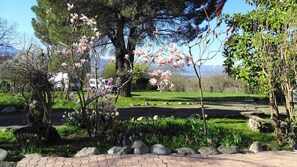 Property grounds - Au-Delà des Cimes - Villeneuve-de-Rivière (Villeneuve-de-Rivière)