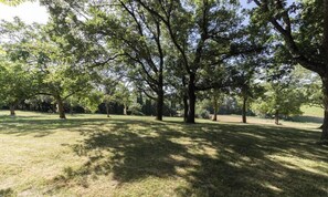 Ein Park mit mehreren Bäumen und einer Rasenfläche.