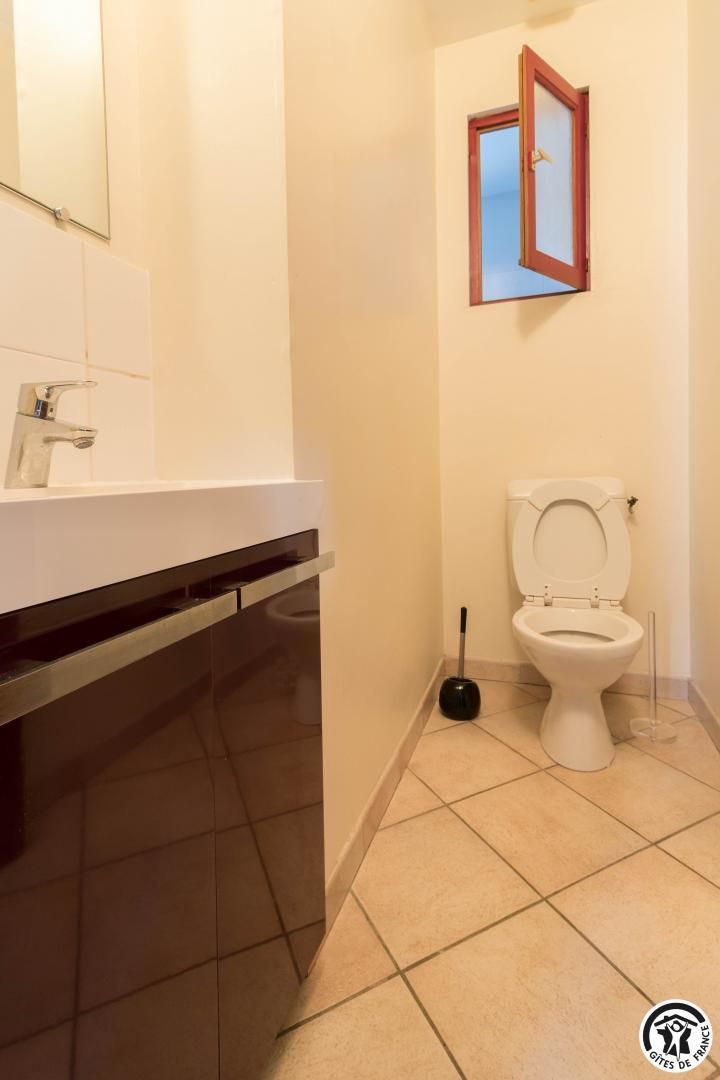 Een badkamer met een toilet, een wastafel en een spiegel.