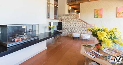 Vignes - Saint-Léon - Gîte