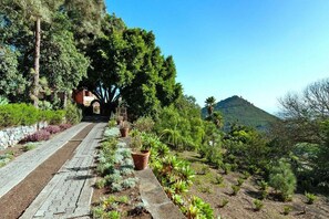 Villa | Property grounds - Luxurious Villa Oasis in Santa Brigida (Santa Brigida)