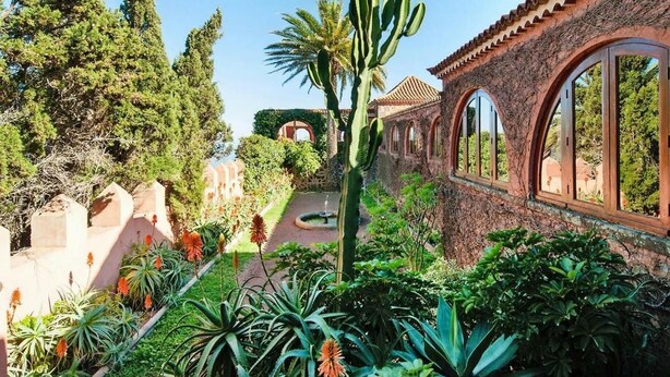 Un pati amb cactus, palmeres i un edifici amb finestres arquejades.