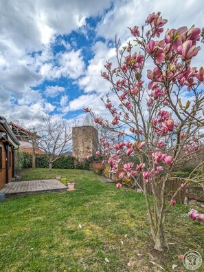 Property grounds - Le Castel Vert - Valcabrère (Valcabrère)