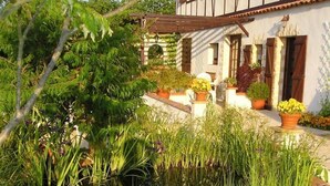 Un jardín con un estanque, rodeado de diversas plantas y un edificio con balcón.