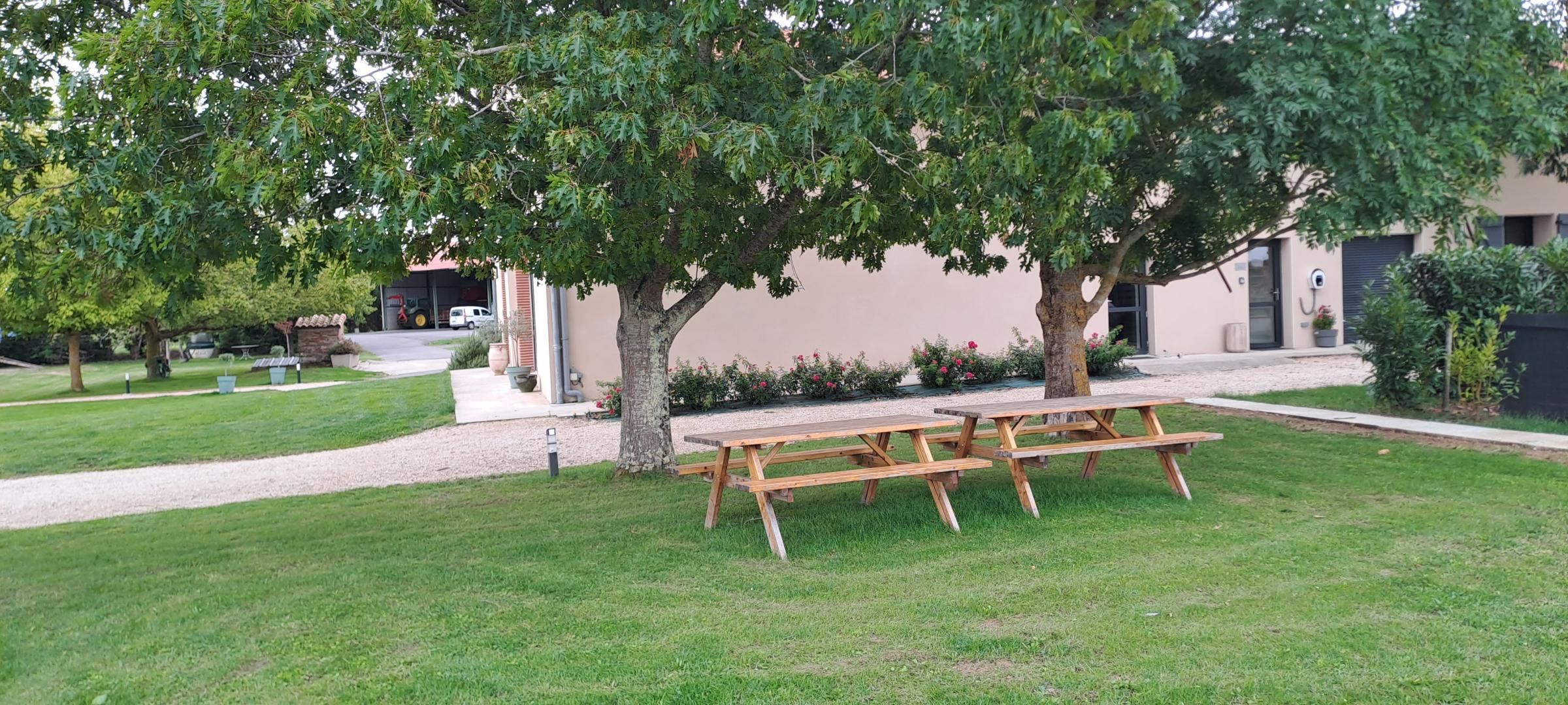Een picknicktafel onder een boom in een grasveld, met een gebouw op de achtergrond.