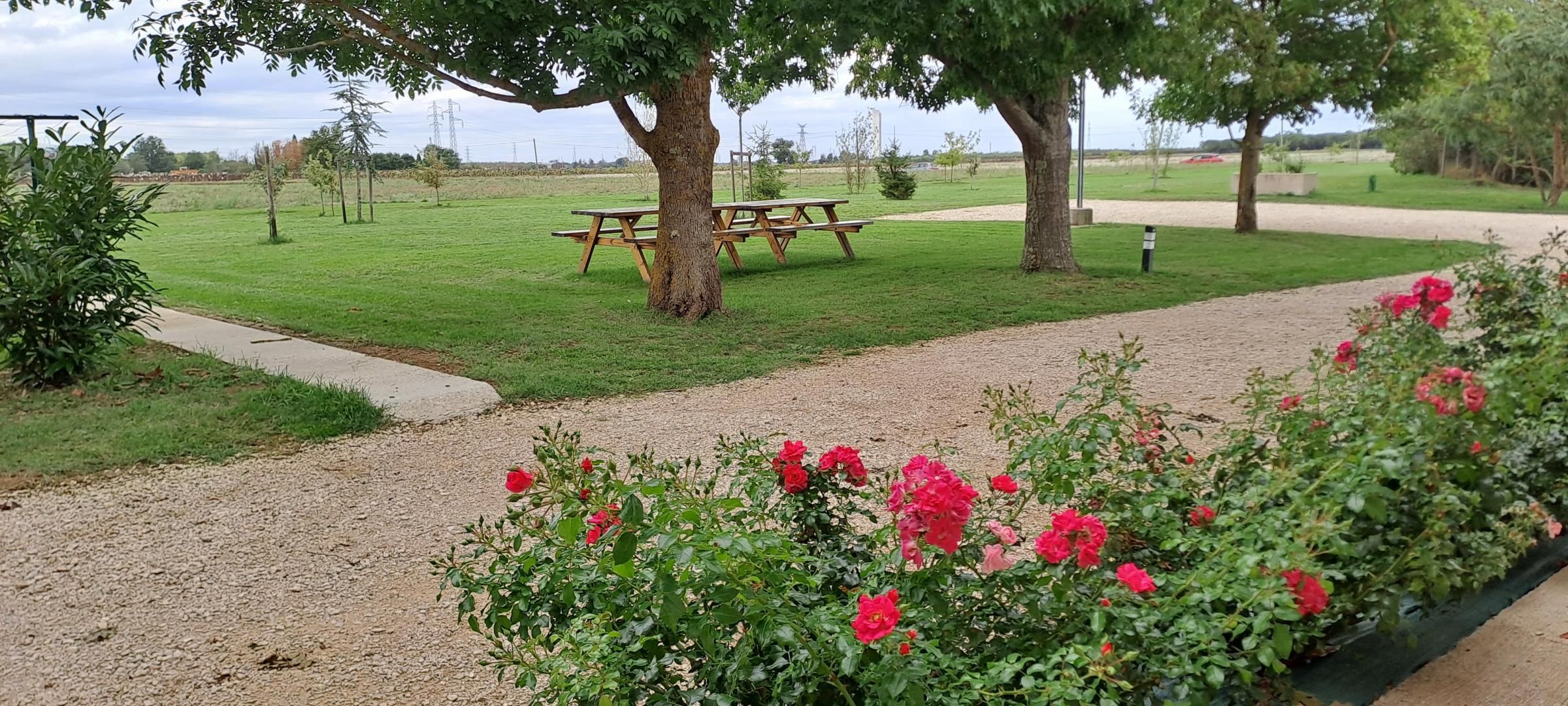 A park with a picnic table, a gravel path, and blooming flowers.