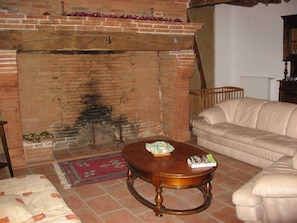 Fernseher, Kamin